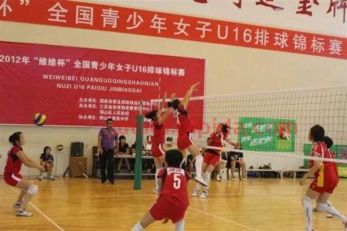 中国女排队员学校在哪（中国女排毕业学校）