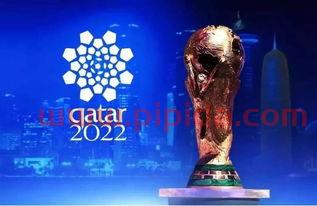 2022年世界杯何时开始