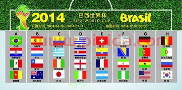 2014世界杯分组安卓版