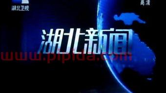 湖北卫视直播在线直播观看