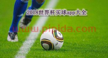 2018世界杯买球网站