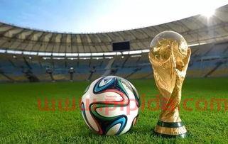 世界杯2022在冬天联赛怎么办